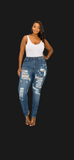 Curvy Highrise Skinny Jeans