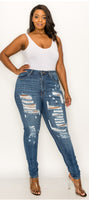 Curvy Highrise Skinny Jeans