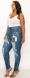 Curvy Highrise Skinny Jeans