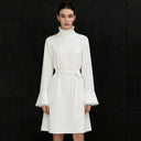Satin Lace High Neck Mini Dress - Elegant Long Sleeve Commuter Style