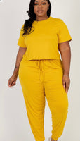 Curvy Mustard 2 Piece set